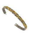 Magnetarmbånd Titanium I-Energy 4i1 8026