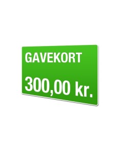 Gavekort 300kr